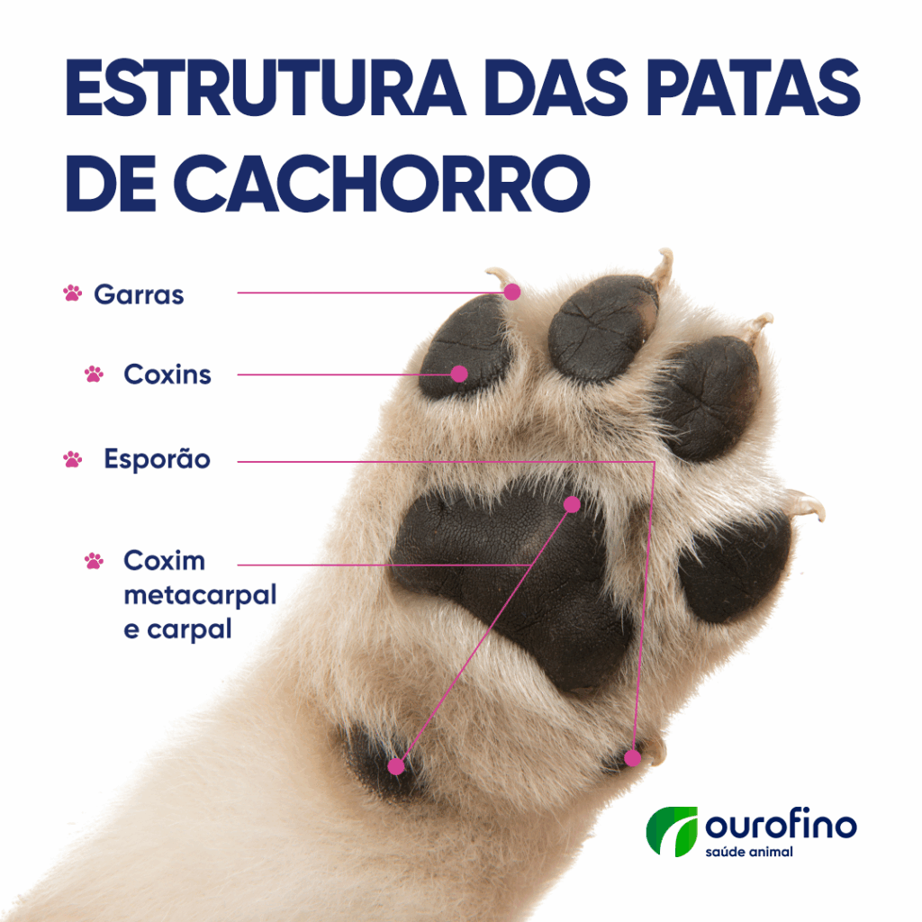 estruturas para cortar unha cachorro